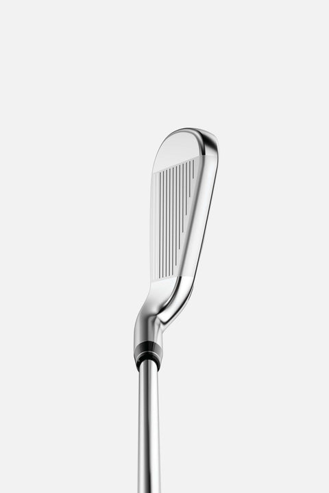 Big Bertha B21 Eisensatz Herren