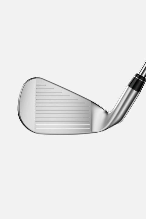 Big Bertha B21 Eisensatz Herren