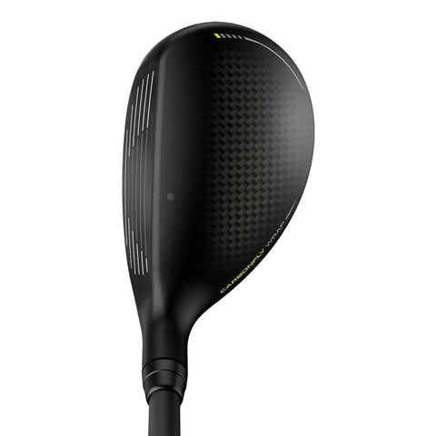 G430 Hybrid (Gebraucht)