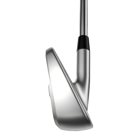Apex Pro 24 Eisensatz Herren