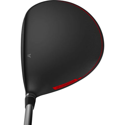 DynaPower Titanium Driver Herren
