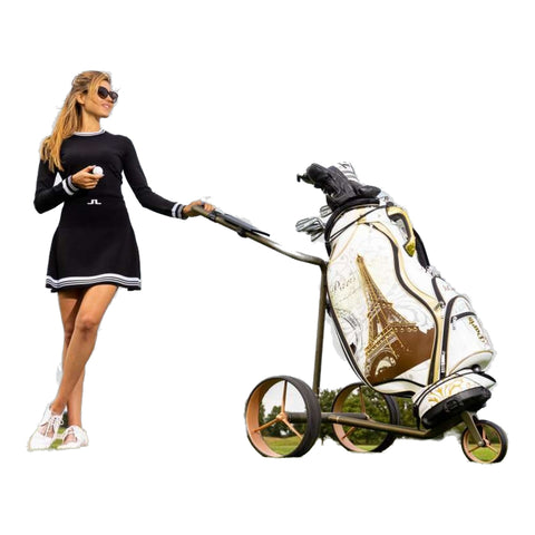 Luxury Bag Cartbag