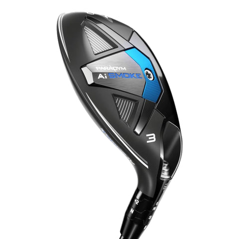 Paradym Ai Smoke (2024) Hybrid Herren