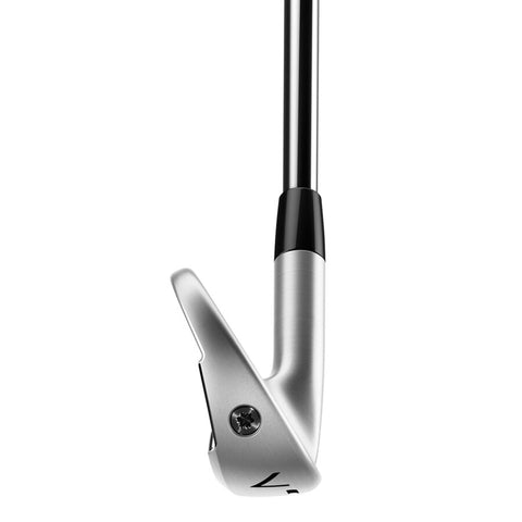 P770 CB Eisensatz