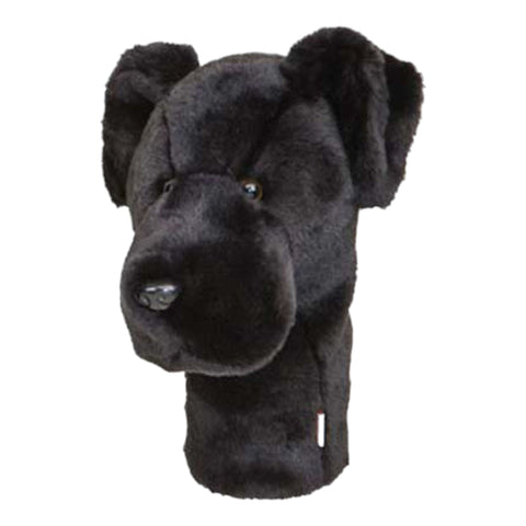 Driver Schwarzer Labrador