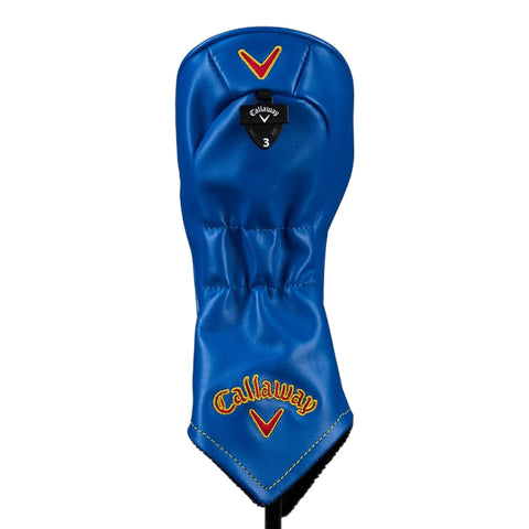 Major PGA Championchip 2022 Fairway