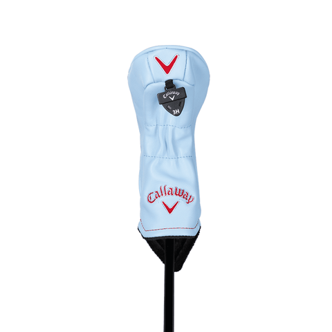 Major US Open 2022 Hybrid
