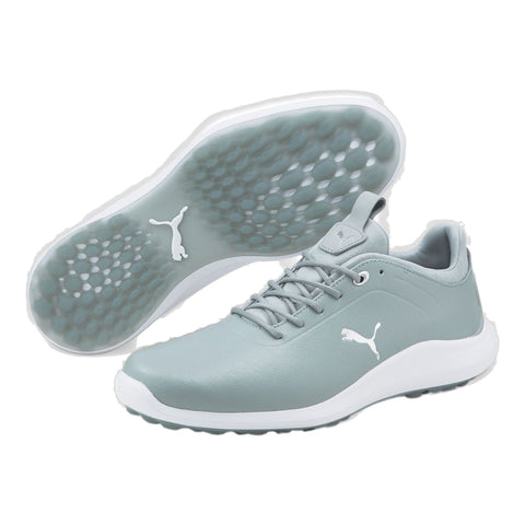 M Ignite Pro Quarry/Puma Silber/Quarry Herren