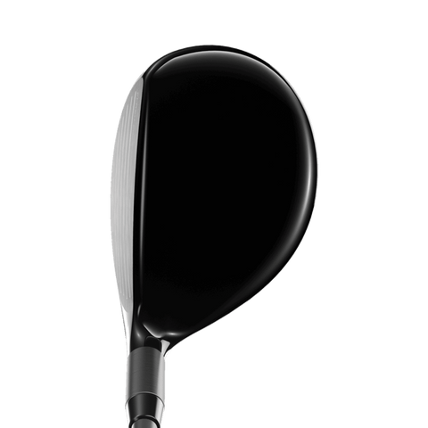 Apex D UW HE RH 21° S (80g)