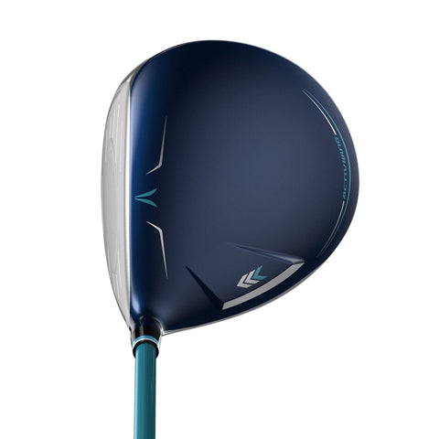 12 Driver