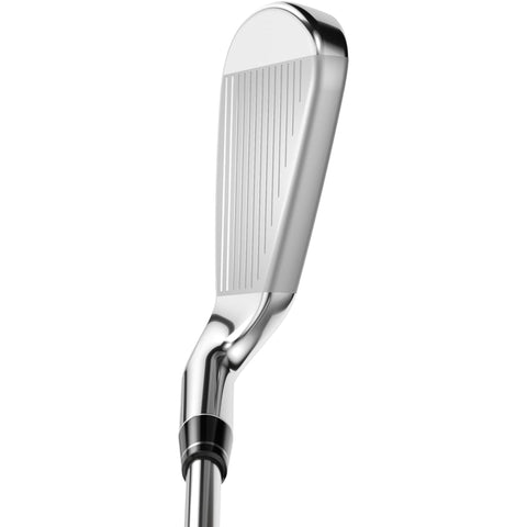 Rogue ST Max OS Eisenset - Graphitschaft Herren