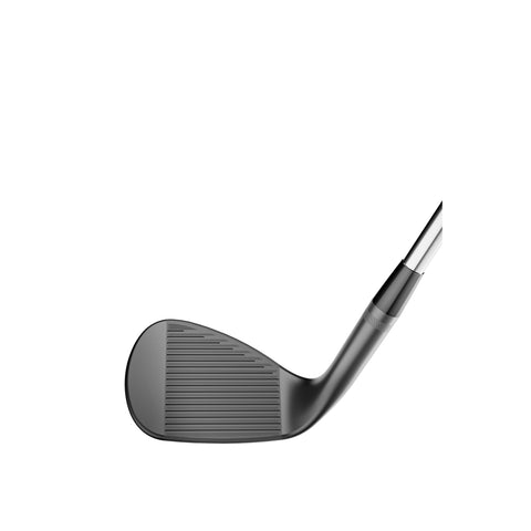 SM10 Ni Wedge