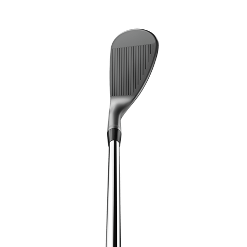 SM10 Ni Wedge
