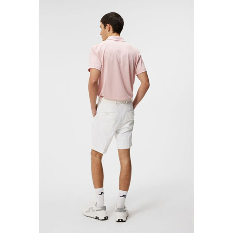 Halto Regular Fit Polo