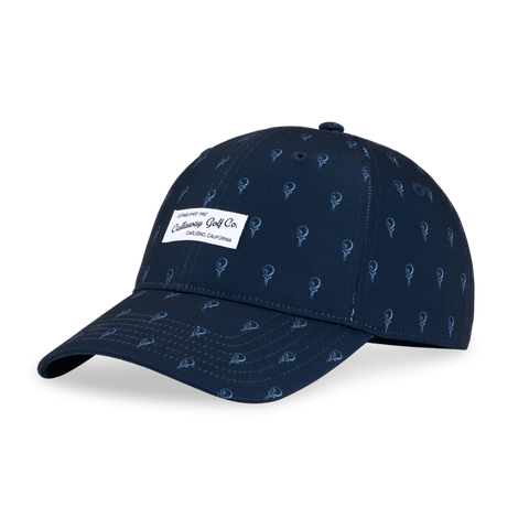 Relaxed Retro 2024 Cap
