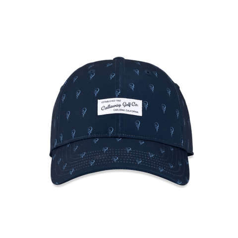 Relaxed Retro 2024 Cap