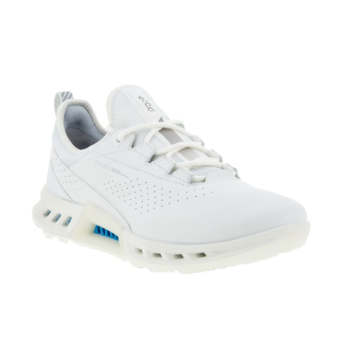 Golf Biom C4 Schuhe