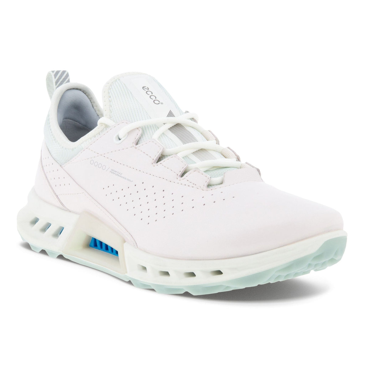Golf Biom C4 Schuhe
