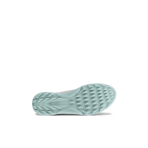 Golf Biom C4 Schuhe