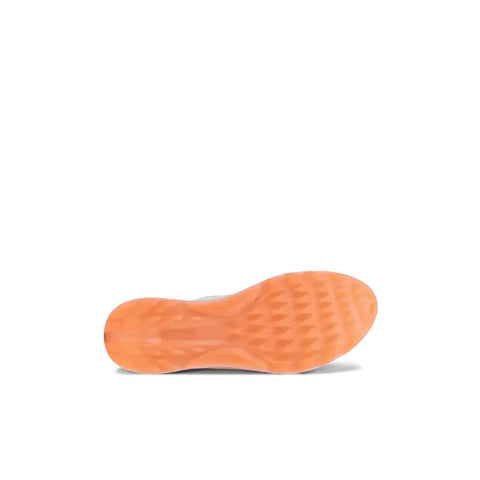 Golf Biom C4 Schuhe