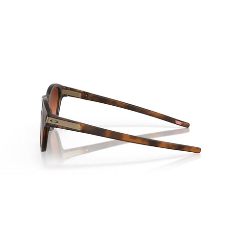 M Latch Matte Brown Tortoise Prizm Tortoise