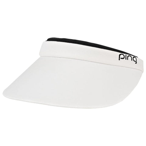 Clip Visor