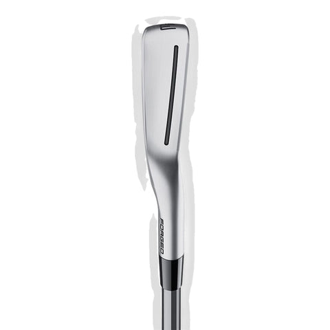 P-UDI Einzeleisen Herren