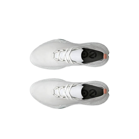 Golf Biom H5 Schuhe