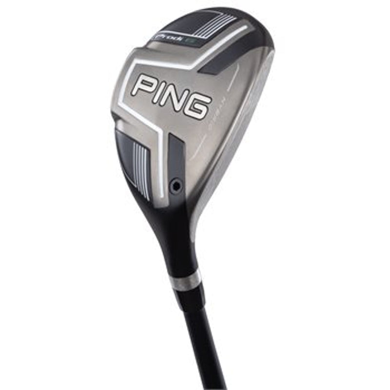 Prodi G Hybrid 243