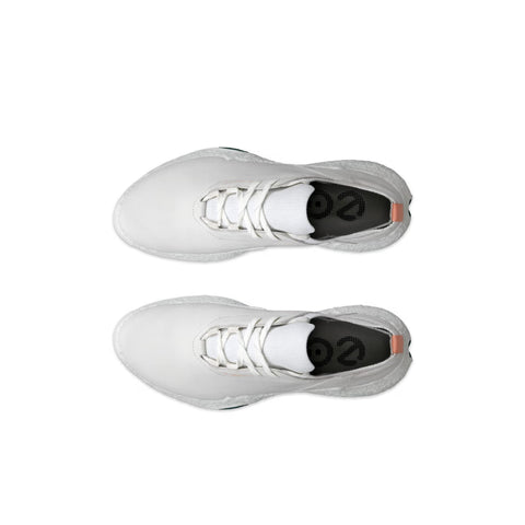 Golf Biom H5 Schuhe