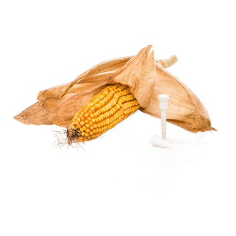 Eco 72mm Star [12Tees] Weiß