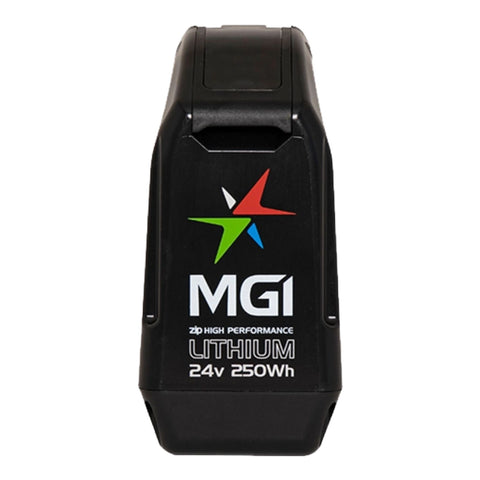 Zip 250Wh Li Batterie
