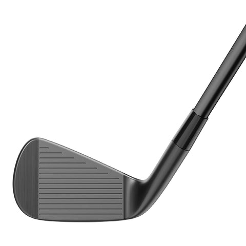 P790 Eisensatz Herren