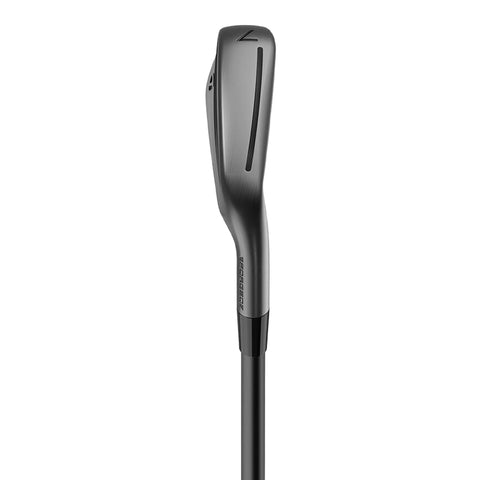 P790 Eisensatz Herren