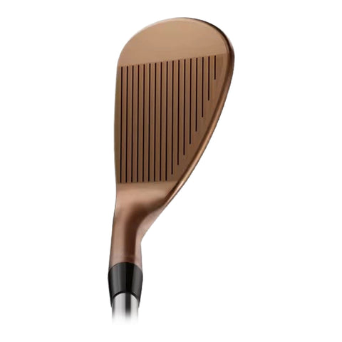 SM10 Wedge