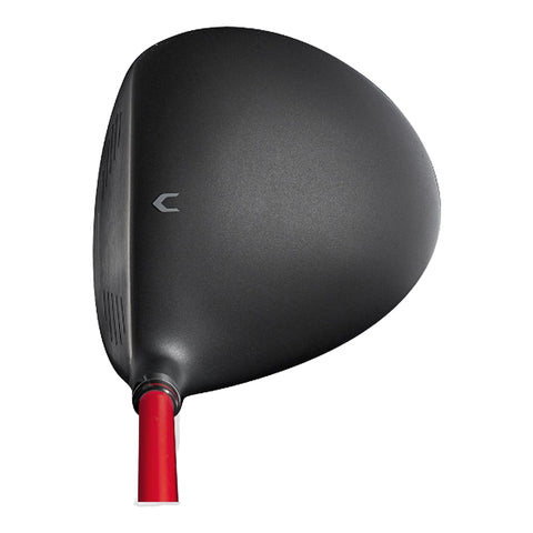 D300 Driver Herren